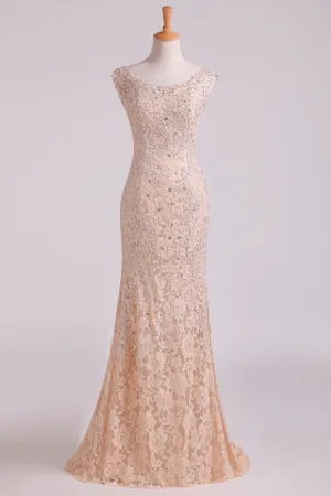 2024 New Arrival Off The Shoulder Evening Dresses Lace With Applique & Beads