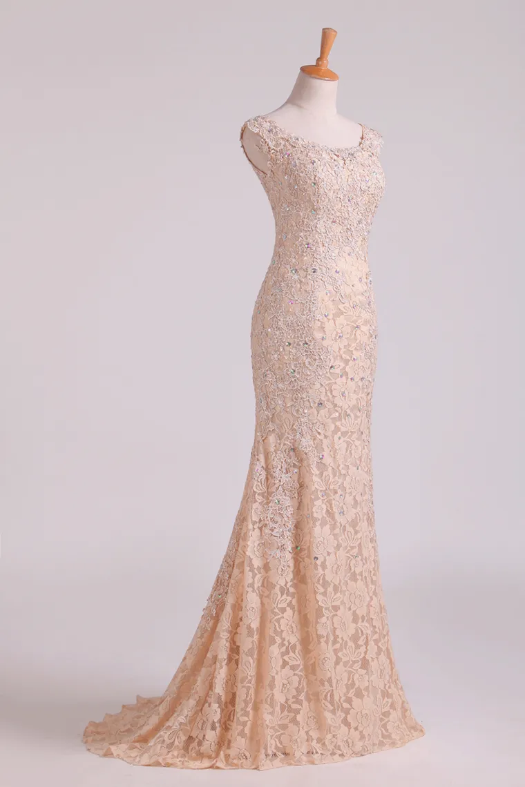 2024 New Arrival Off The Shoulder Evening Dresses Lace With Applique & Beads