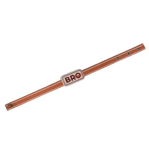 Canvas Design Bro Square Brown Rakhi/Band For Kids Ages 3-12 Years