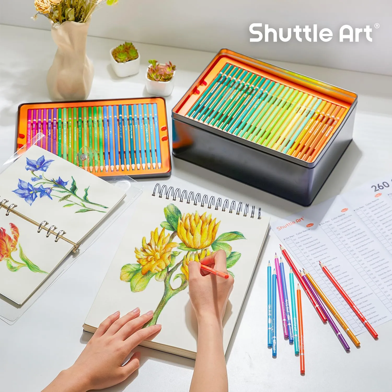 Professional Colored Pencils - Set of 260