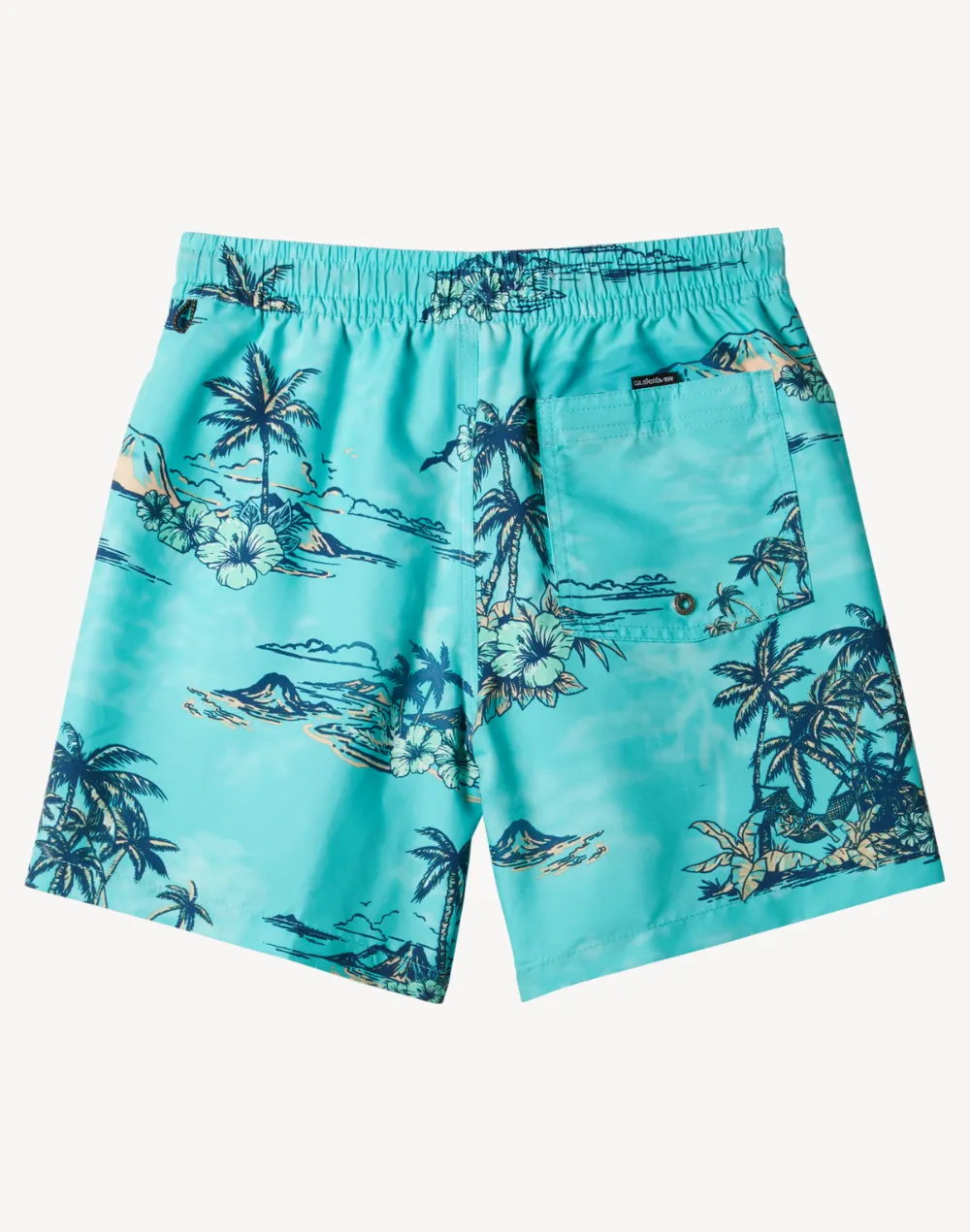 Toddler Boys Mix Swim Trunk