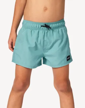 Toddler Boys Offset Swim Trunk